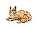 cat brown tabby sig.jpg (16259 bytes)